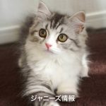 嵐・相葉雅紀の謎すぎる休日wwwwwwww 嵐・相葉雅紀の謎すぎる休日wwwwwwww