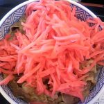 牛丼屋で紅しょうがを大量にのっけるやつーーーーーwwwww 牛丼屋で紅しょうがを大量にのっけるやつーーーーーwwwww