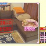 新垣結衣の部屋に入れるか指原莉乃がお前の部屋に夜這いに来るか 新垣結衣の部屋に入れるか指原莉乃がお前の部屋に夜這いに来るか