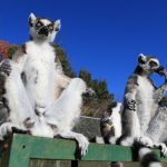 【画像】ワオ!太陽の下、大胆にM字開脚!wwwwww 【画像】ワオ!太陽の下、大胆にM字開脚!wwwwww