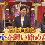 【悲報】指原総合司会の今くらの視聴率が日テレが傾くレベルの大爆死www 【悲報】指原総合司会の今くらの視聴率が日テレが傾くレベルの大爆死www