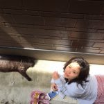 元NMBメンバーが猫と路上生活はじめる!? 元NMBメンバーが猫と路上生活はじめる!?