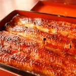 彡(゚)(゚)「うなぎ…うなぎが食いたいンゴ…せや!」 彡(゚)(゚)「うなぎ…うなぎが食いたいンゴ…せや!」