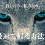 【画像】「全日本もう帰りたい協会」の心に響く画像を貼ってくださいwwwwwww 【画像】「全日本もう帰りたい協会」の心に響く画像を貼ってくださいwwwwwww