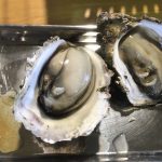 【朗報】野獣先輩、カキだった。 【朗報】野獣先輩、カキだった。