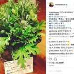 【衝撃】竹内結子とイモトアヤコの関係がwwwwwwwwww 【衝撃】竹内結子とイモトアヤコの関係がwwwwwwwwww
