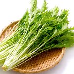 水菜とかいう草wwwwwwwww 水菜とかいう草wwwwwwwww