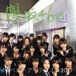 欅坂と乃木坂、どっちが良い? 欅坂と乃木坂、どっちが良い?