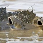 【閲覧注意】謎 不気味な雰囲気の画像貼ってく・・・・ 【閲覧注意】謎 不気味な雰囲気の画像貼ってく・・・・