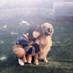 橋本環奈の愛犬w.w.w.w.w.w.w.ww.w.w 橋本環奈の愛犬w.w.w.w.w.w.w.ww.w.w