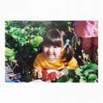 本田仁美ちゃんの子供の頃がいちご大福にそっくりwwww 本田仁美ちゃんの子供の頃がいちご大福にそっくりwwww