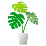 【悲報】「観葉植物栽培」の初心者がしやすい失敗がこちらwwwwww 【悲報】「観葉植物栽培」の初心者がしやすい失敗がこちらwwwwww