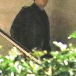 【週刊文春】ワンオクTakaにとんでもない文春砲が炸裂! 【週刊文春】ワンオクTakaにとんでもない文春砲が炸裂!