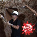 めちゃイケ後番組が打ち切り危機!? めちゃイケ後番組が打ち切り危機!?