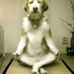 嘘か本当かわからない画像を貼るスレwww 嘘か本当かわからない画像を貼るスレwww
