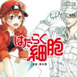 今期覇権アニメがはたらく細胞という事実 今期覇権アニメがはたらく細胞という事実