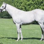 【競馬】なんjみたいな馬名で打線組んだwwwwwwwwww 【競馬】なんjみたいな馬名で打線組んだwwwwwwwwww