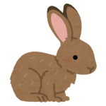【画像】ロリついたウサギさん(15)がコチラwwwwwwwwwwww 【画像】ロリついたウサギさん(15)がコチラwwwwwwwwwwww