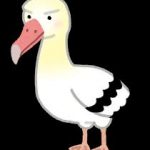 【画像】 アホウドリ、雛にプラスチックを与えて死なせてしまう・・・・ 【画像】 アホウドリ、雛にプラスチックを与えて死なせてしまう・・・・