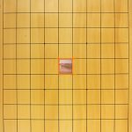 【画像】将棋盤の真ん中に『砂漠』っていう特殊ゾーンを作ってみたんだがwwwwwww 【画像】将棋盤の真ん中に『砂漠』っていう特殊ゾーンを作ってみたんだがwwwwwww