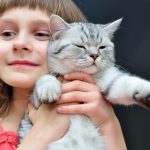 ネッコ「スリスリ」ワイ「お!抱っこしてあげるゴンねぇ」 ネッコ「スリスリ」ワイ「お!抱っこしてあげるゴンねぇ」