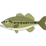 【画像】今日バス釣り初めて50センチ超えるバス釣ってニヤニヤが止まらないんだが?? 【画像】今日バス釣り初めて50センチ超えるバス釣ってニヤニヤが止まらないんだが??