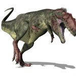 【画像】恐竜マニアワイ、ティラノサウルスばかりが人気なのに絶望wwwwwwwww 【画像】恐竜マニアワイ、ティラノサウルスばかりが人気なのに絶望wwwwwwwww