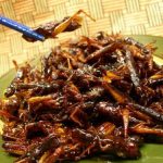 ワイが食べた昆虫で打線 ワイが食べた昆虫で打線