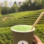 【悲報】女さん「インスタ映え凄いでしょ」→真実が暴かれてしまう (※画像あり) 【悲報】女さん「インスタ映え凄いでしょ」→真実が暴かれてしまう (※画像あり)