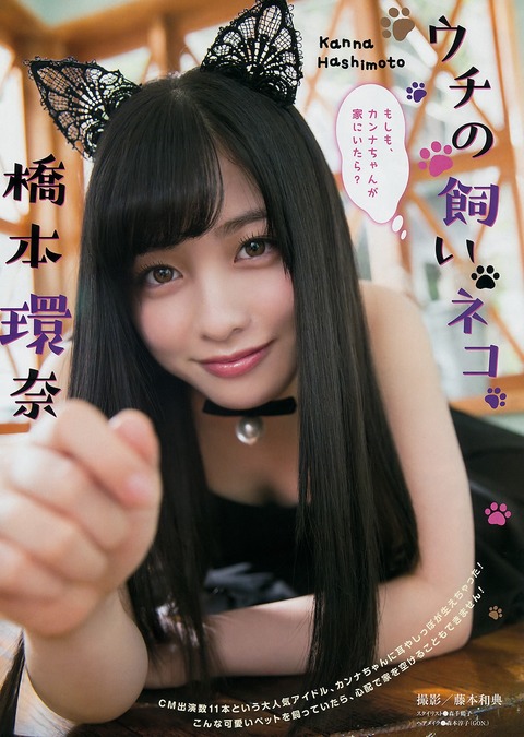 このネコが「拾ってくれニャー」って鳴いてたらどうする? (※画像あり)