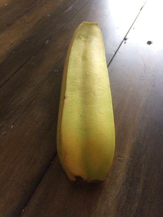 【画像】とても珍しい「双子のバナナ」が見つかるwwwwwwwww