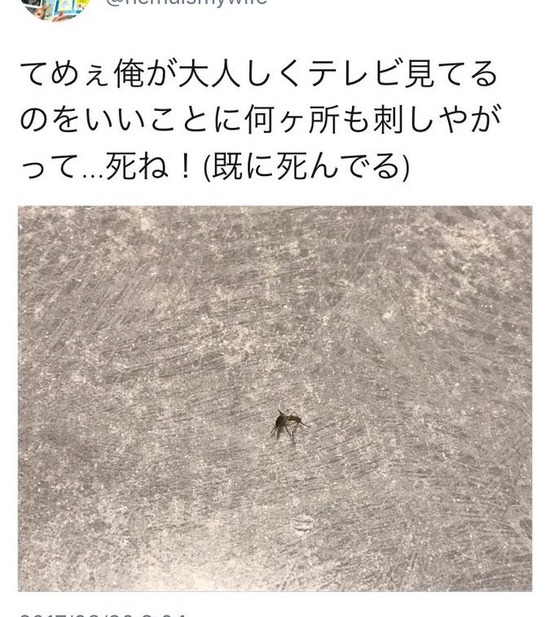 【画像】蚊を潰したTwitterユーザー、アカウントを凍結されるｗｗｗｗｗｗｗｗ