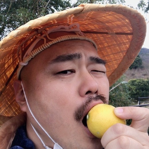 【悲報】フレッシュレモンになりたいしん！