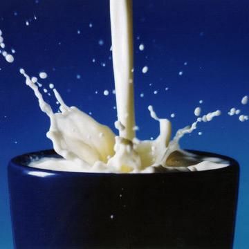 『ゴキブリのミルク』、牛乳の３倍の栄養価を持っていた。人類を飢餓から救うスーパーフードへｗｗｗｗｗ