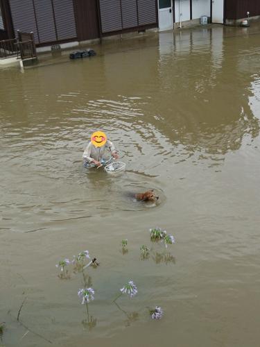 【悲報】岡山市で雨の災害の中、とんでもない人が現るｗｗｗｗｗｗｗｗｗｗ