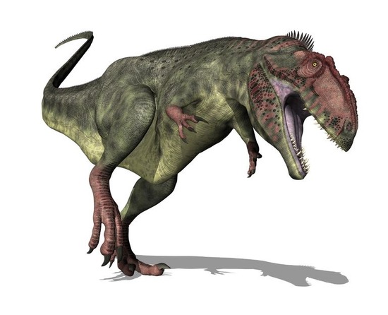 【画像】恐竜マニアワイ、ティラノサウルスばかりが人気なのに絶望ｗｗｗｗｗｗｗｗｗ